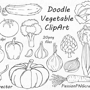 Doodle légume Clipart, nourriture, PNG, EPS, AI (vecteur), téléchargement immédiat, pour un usage personnel et commercial