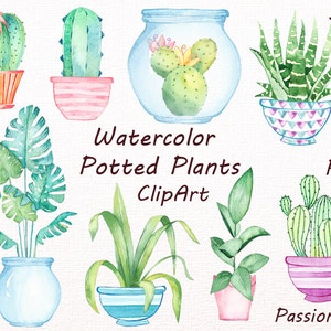 Acquerello piante in vaso clipart, piante in vaso, cactus, vasi, clip art, png, download istantaneo, Per uso personale e commerciale