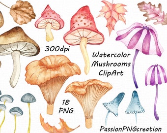Watercolor mushrooms clipart, Digital mushrooms clip art, watercolour, autumn, leaves, PNG, For Personal and Commercial Use