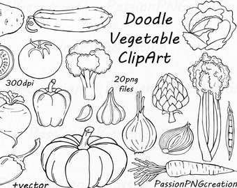 Doodle Vegetable Clipart, food, PNG,EPS, AI (vector) clipart, Instant Download, For Personal and Commercial use