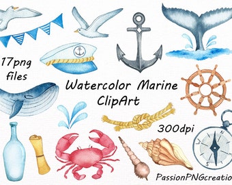 Watercolor Nautical Clipart: Sea Shells, Anchor, Whale (PNG Digital Download)