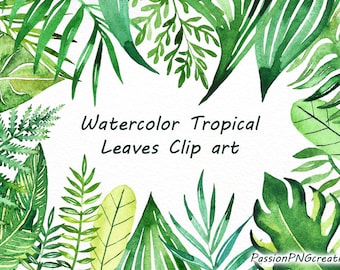 Watercolor Tropical Leaves Clip art, Handpainted clipart, PNG, diy greeting card, floral clipart, for Personal and Commercial Use