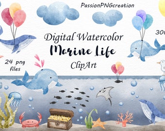 Watercolor Marine Life Clipart: 24 PNG Sea Animals (Digital Download)