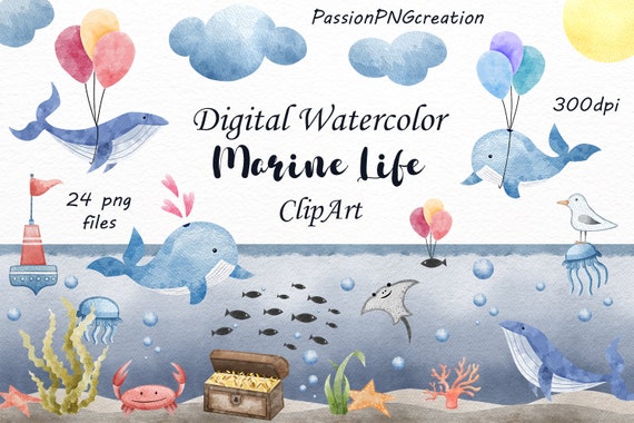 Watercolor Marine Life Clipart: 24 PNG Sea Animals (Digital Download)