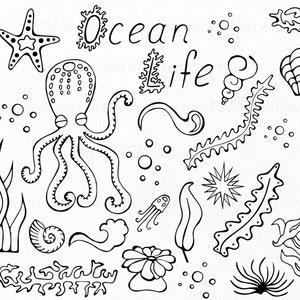 Big Set of Doodle Marine Life Clipart, Sea Life clip art, Ocean life, PNG, EPS, fish, vector, Under the Sea, For Personal and Commercial use image 5
