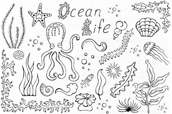 落書き風海洋生物クリップアート：海の生き物（PNG、EPS） - Etsy 日本