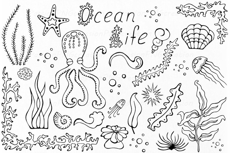 Big Set of Doodle Marine Life Clipart, Sea Life clip art, Ocean life, PNG, EPS, fish, vector, Under the Sea, For Personal and Commercial use image 5