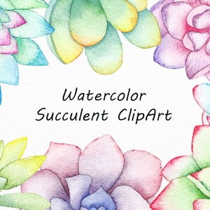 Clipart de suculentas aquarela, aquarela, clipart de cactos, clipart tropical, PNG, ilustração de suculentas, para uso pessoal e comercial