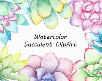 Watercolor Succulent Clipart: Tropical Cactus Illustration (PNG Digital Download)