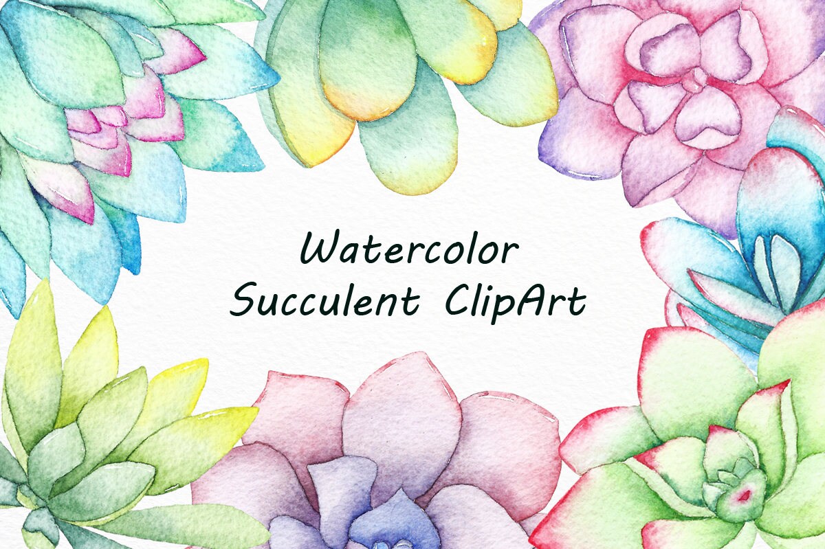 Watercolor succulent clipart Watercolour Cactus clipart | Etsy