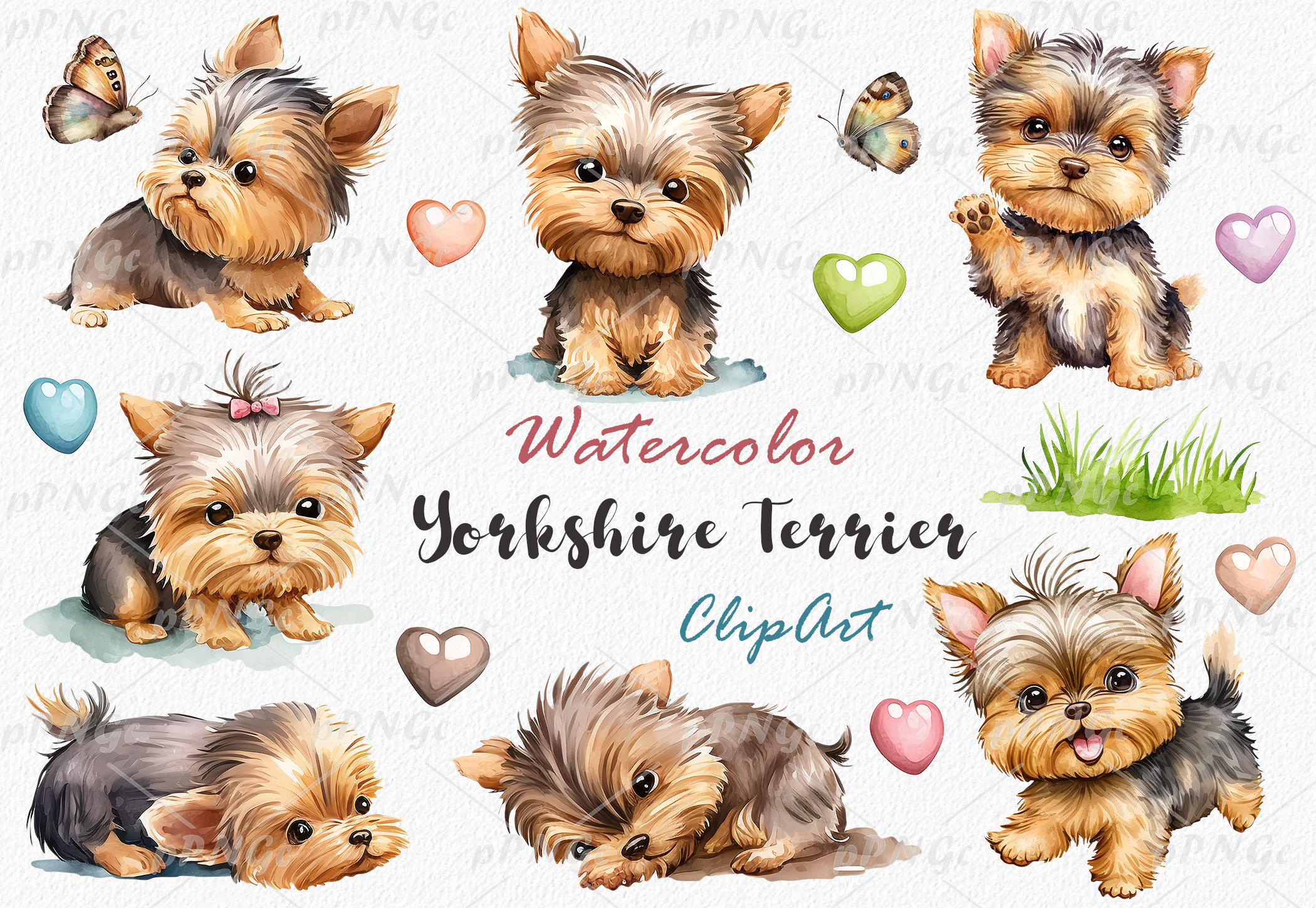 ヨークシャーテリア、水彩画クリップアート、犬のイラスト、かわいい