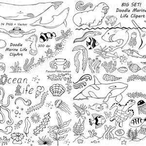 Big Set of Doodle Marine Life Clipart, Sea Life clip art, Ocean life, PNG, EPS, fish, vector, Under the Sea, For Personal and Commercial use image 1