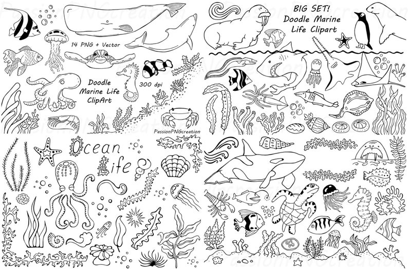 Big Set of Doodle Marine Life Clipart, Sea Life clip art, Ocean life, PNG, EPS, fish, vector, Under the Sea, For Personal and Commercial use image 1