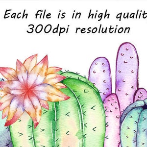 Aquarelle Cactus Borders Clipart, PNG, Photo superposition, Fabrication de cartes, cactus clip art, Pour usage personnel et commercial image 2