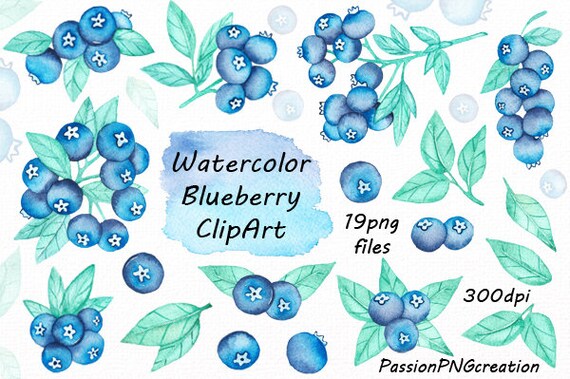 Watercolor Blueberry Clipart Transparent Background Digital Etsy Watercolor Blueberry Clipart Transparent Background Digital Etsy