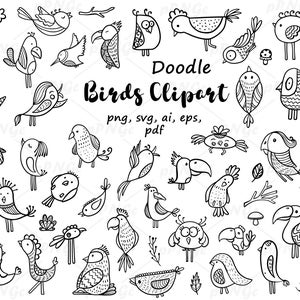 Vector Birds svg clipart, Doodle Birds Clipart, Fairy tale, png, svg, pdf, ai, eps, parrots, birds coloring, Coloring Sketch