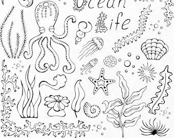 May include: Black and white line art illustrations of various ocean life, including an octopus, starfish, seashells, seaweed, jellyfish, and bubbles. The text "ocean life" is written in cursive at the top of the image.