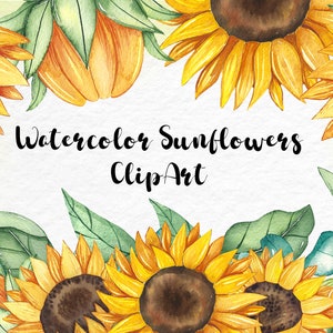 Clipart de girassóis em aquarela, flores amarelas de verão, convite de casamento, criação de cartões, PNG, fundo transparente, clipart de aquarela