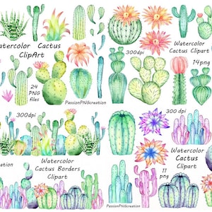 Big Set of Watercolor Cactus Clipart, Succulents peints à la main, clipart numérique, fleurs, invitation, succulents, usage personnel et commercial
