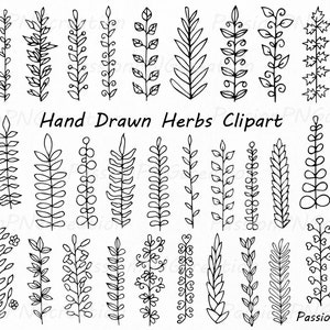 Hand Drawn Herbs Clipart, Leaves clip art, Herbs Silhouette, PNG, EPS, AI, Vector, Laurel Clipart, Personal and Commercial Use