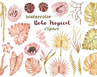 Watercolor Boho Tropical Leaves Clipart (PNG)