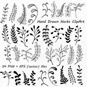 May include: A set of 34 black and white hand-drawn herb illustrations. The illustrations are simple and elegant, and they would be perfect for use in a variety of projects, such as invitations, cards, and website designs.  Hand Drawn Herbs ClipArt 34 PNG + EPS (vector) files