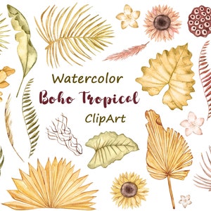 Clipart de feuilles tropicales sèches aquarelle, éléments floraux tropicaux Boho, Boho aquarelle, palmiers séchés, boho png, fleurs tropicales séchées, png