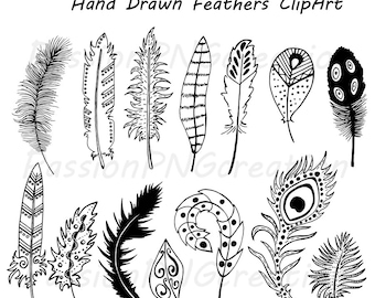 Hand Drawn Feathers Clipart: Doodle Feather Graphics (PNG, EPS)