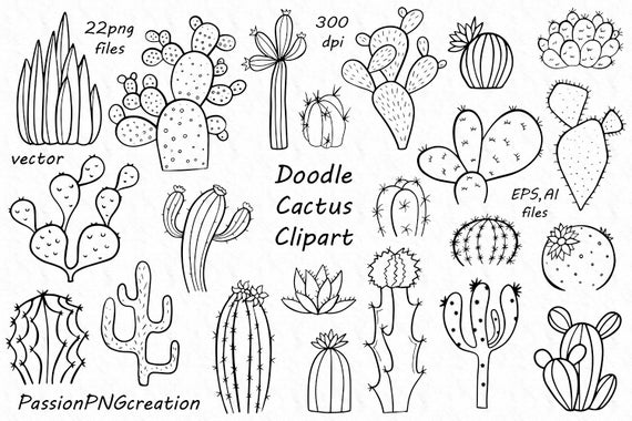 Doodle Kaktus Clipart: Sukkulenten Pflanze Vektorgrafik (PNG, EPS, AI) -  Etsy Schweiz
