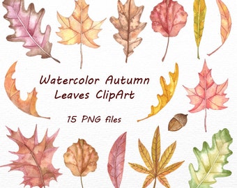Watercolor autumn leaves clipart, Digital Clipart, Autumn clip art, Watercolor Foliage, Leaves, fall leaves, Personal and Commercial Use