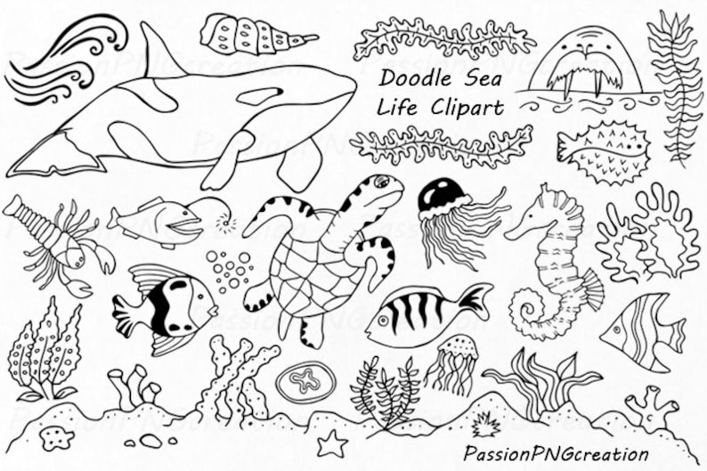 Big Set of Doodle Marine Life Clipart, Sea Life clip art, Ocean life, PNG, EPS, fish, vector, Under the Sea, For Personal and Commercial use image 4