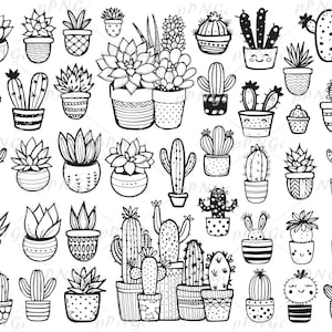 49 Cactus SVG, suculentas, plantas tropicales, plantas de interior, clipart dibujado a mano en pdf, png, eps descarga digital, para uso personal y comercial