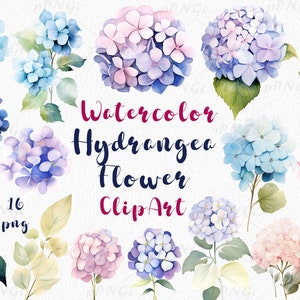 Hortensie Bliss: Aquarell Blumen Clipart Set für Einladungen, Karten und Designs - Pastellblüten, digitaler Download, kommerzielle Nutzung