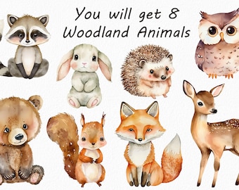 Waldtiere Clipart Aquarell: Wald Grafik (digitaler Download)