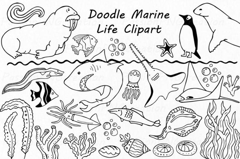 Big Set of Doodle Marine Life Clipart, Sea Life clip art, Ocean life, PNG, EPS, fish, vector, Under the Sea, For Personal and Commercial use image 3