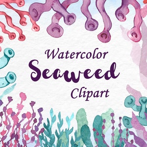 Aquarel zeewier clipart. Koraalrif. Onder de zee clipart. Onderwater illustraties. waterplanten, zeester, zee, nautisch, algen, aquarium
