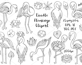 Flamingo Doodle Clipart: Tropical Flowers Line Art (PNG, SVG, PDF)