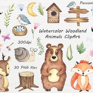 Watercolor Woodland Animals Clipart: Forest Nursery Decor (Digital Download)