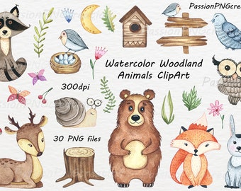 Watercolor woodland Animals Clipart, forest animals, clip art, nursery decor, bear deer, baby shower clipart, Personal and Commercial Use