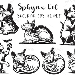 File SVG di Sphynx Cat, design per t-shirt, download di clipart vettoriali di contorno, file PNG stampabili, per uso personale e commerciale