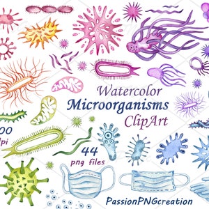 Watercolor microorganisms clipart, Virus, Microbes, Bacteria, PNG files, 300dpi resolution, transparent backgrounds, Personal/commercial use
