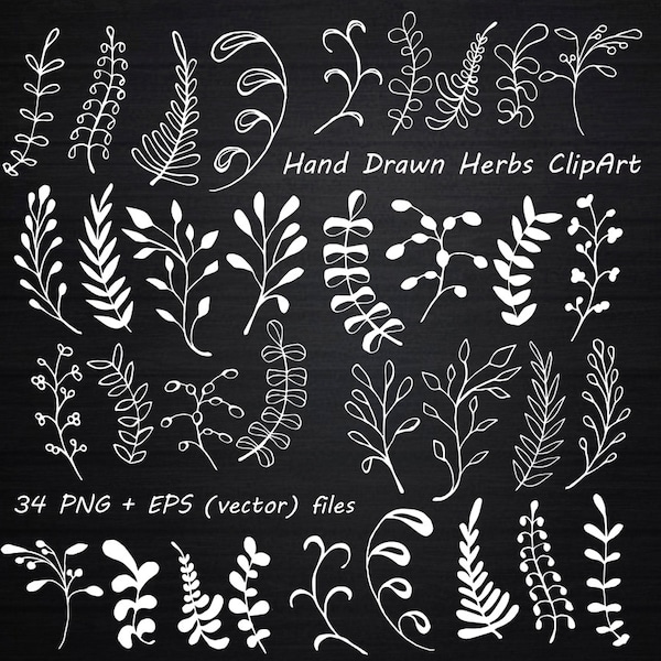 White Hand Drawn Herbs Clipart, Chalkboard clipart , Herbs Silhouette, PNG, EPS, AI, Vector, Laurel Clipart, Personal and Commercial Use