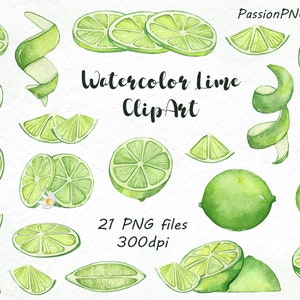 Aquarell Limette Clipart, Zweige Limette Aquarell Clip Art, PNG, digitale Clipart, digitales Aquarell, Zitrusfrüchte, persönlichen und kommerziellen Gebrauch