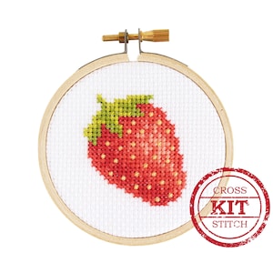 Strawberry Mini DIY Cross Stitch Kit