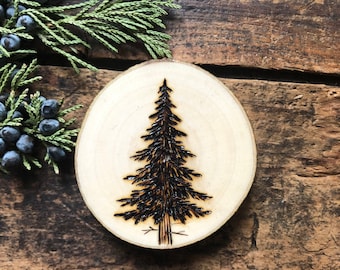 Wood burned pine tree wood slice magnet. Handmade by Forage Workshop PREORDER