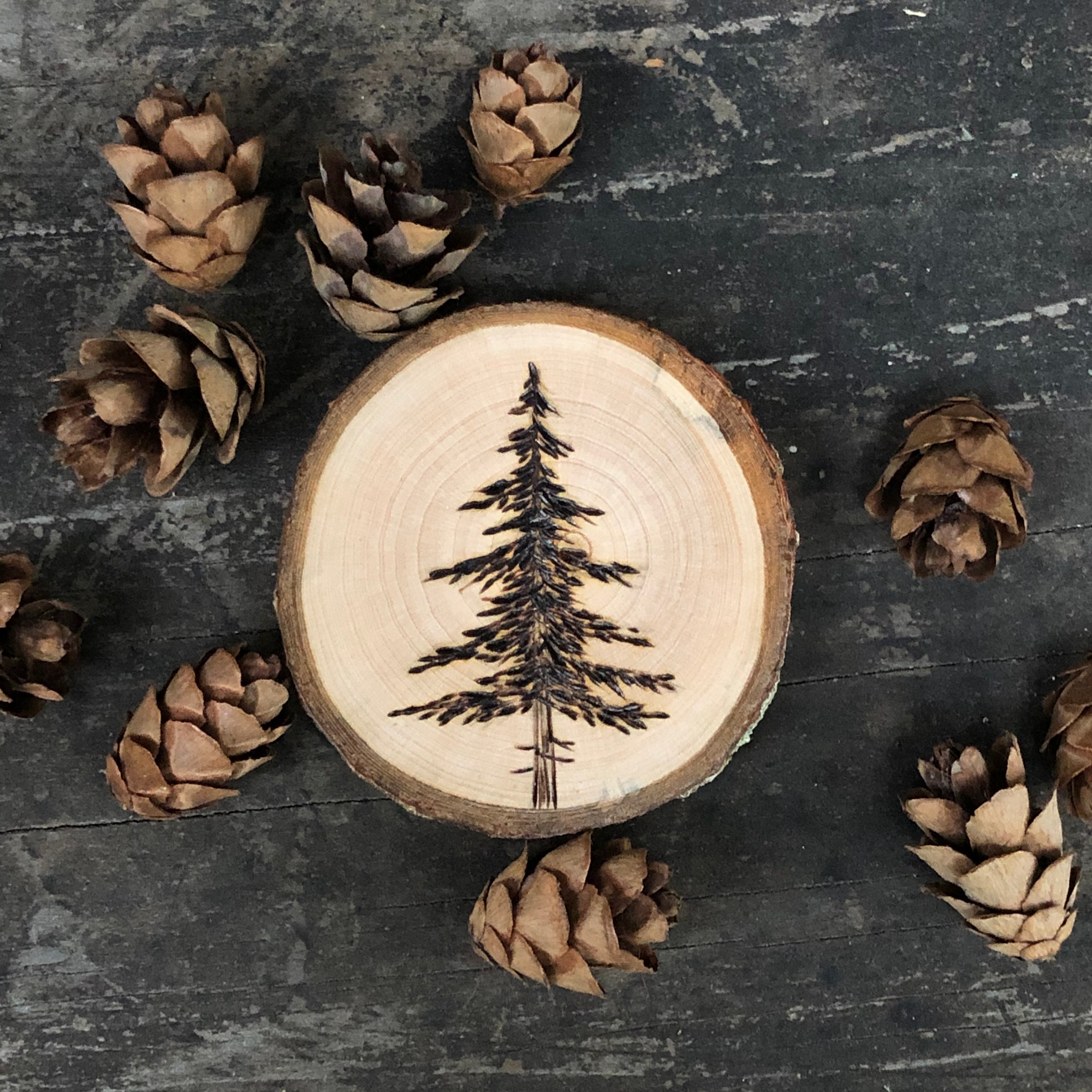 Wood Burned Cedar Tree Wood Slice Magnet. Handmade by Forage Workshop ...