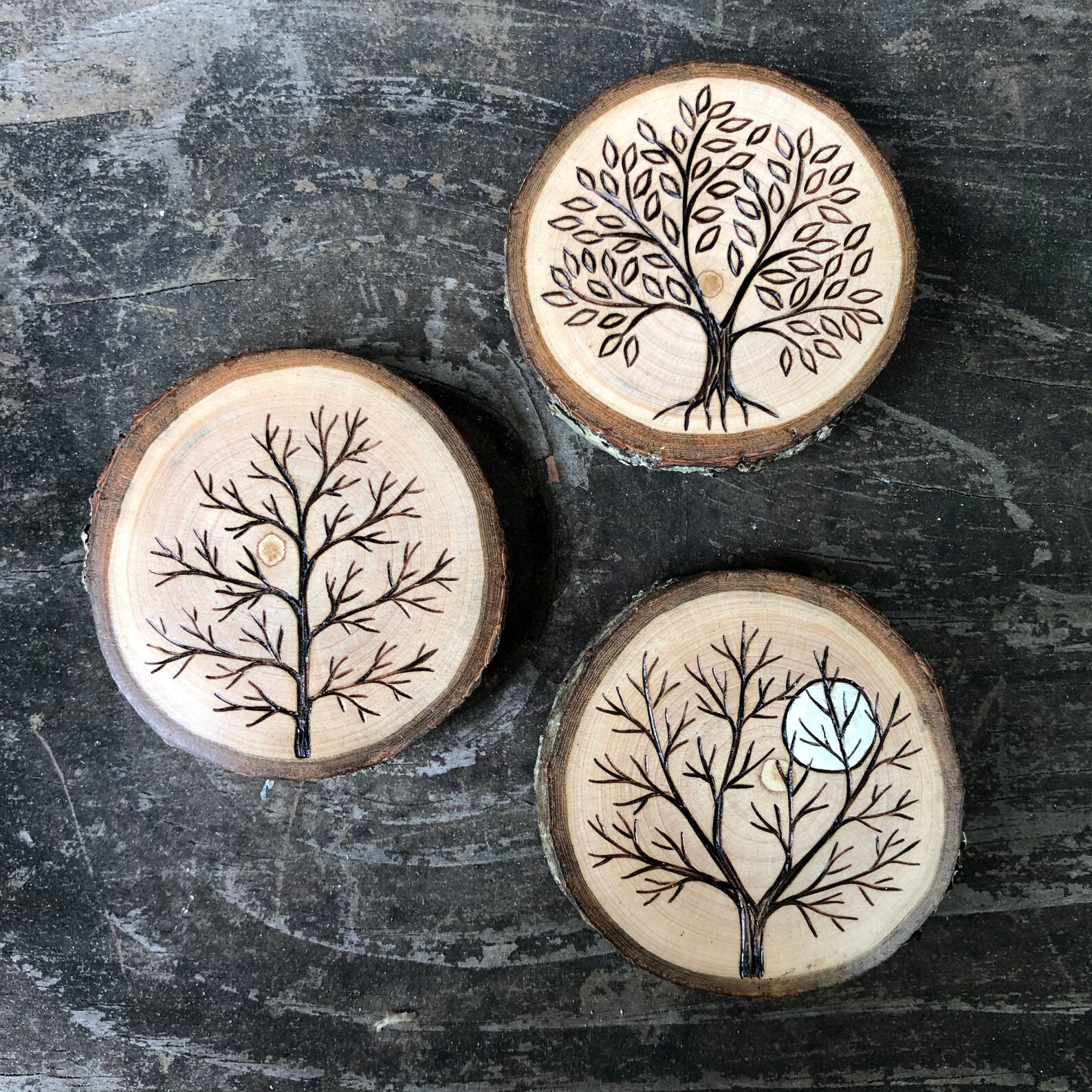 Wood Burned Tree Wood Slice Magnet. Wood Slice Magnet Handmade by ...
