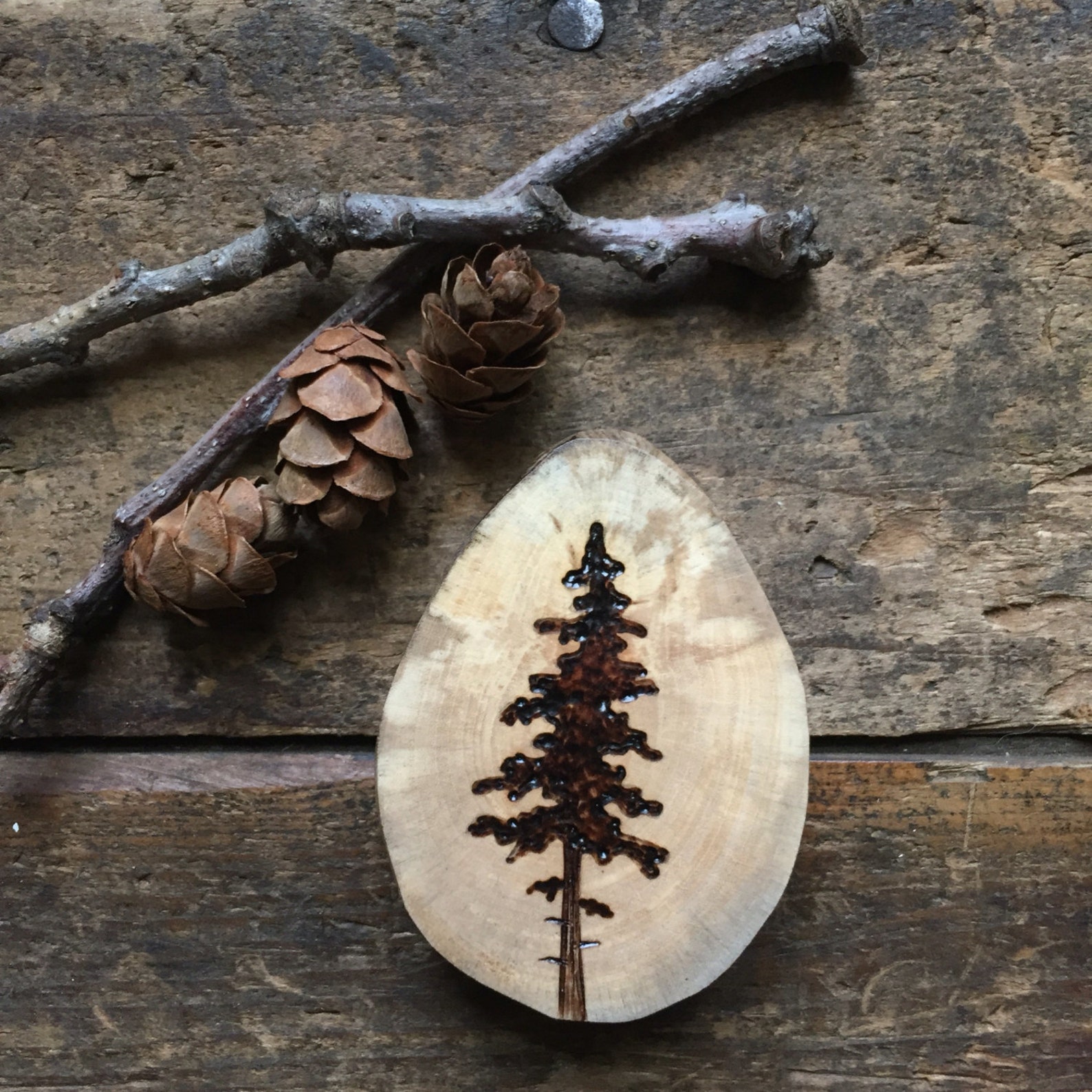 Wood Burned Pine Tree Wood Slice Magnet. Handmade by Forage Workshop ...