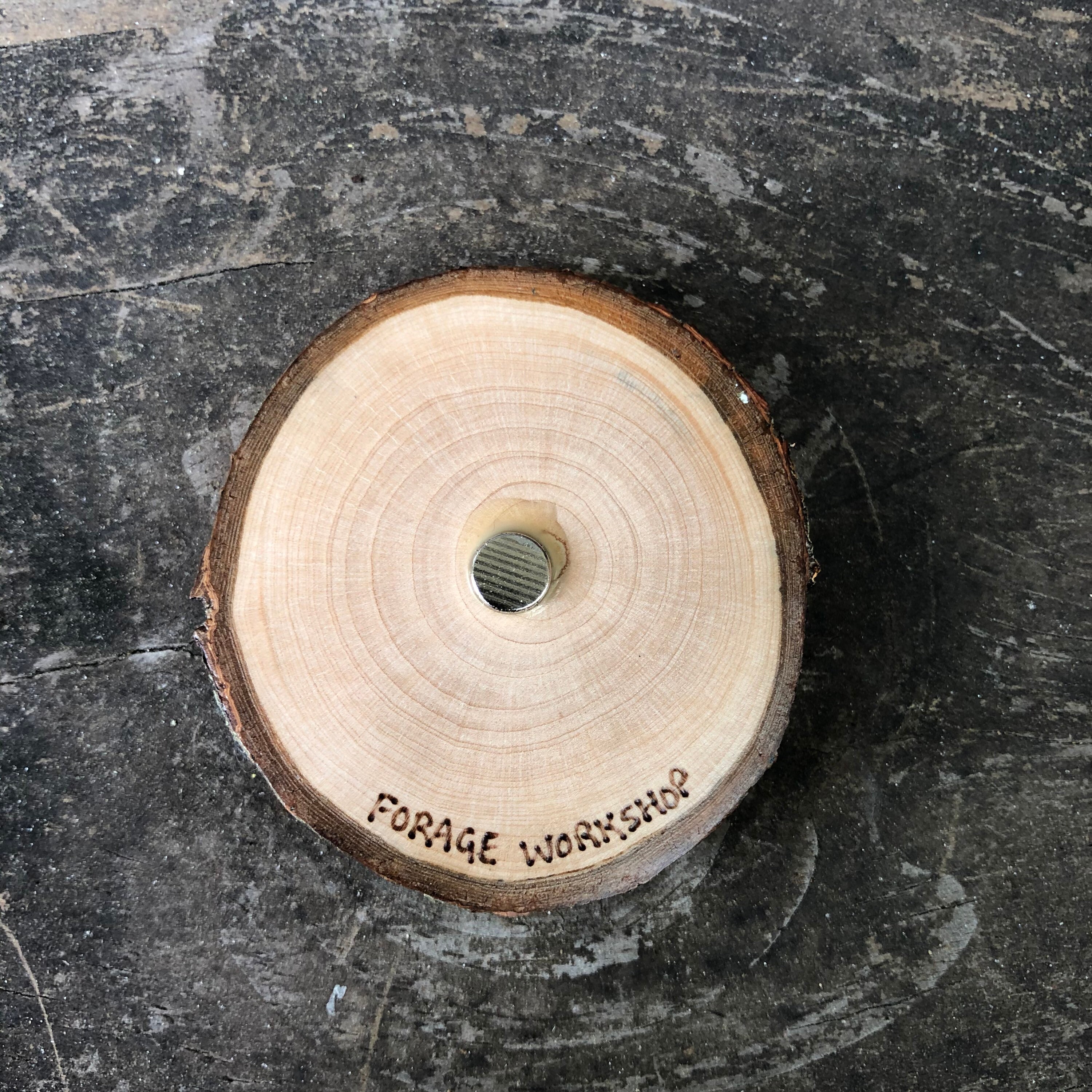Wood Burned Tree Wood Slice Magnet. Wood Slice Magnet Handmade by ...