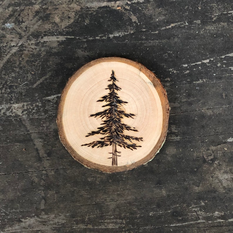 Wood Burned Cedar Tree Wood Slice Magnet. Handmade by Forage Workshop ...